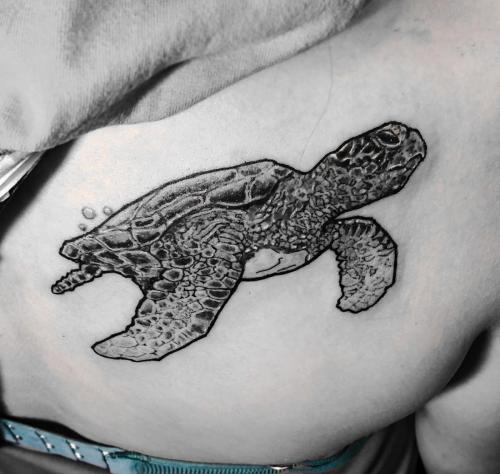 sea turtle detail