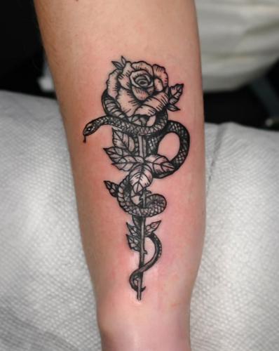 Small Snake and rose