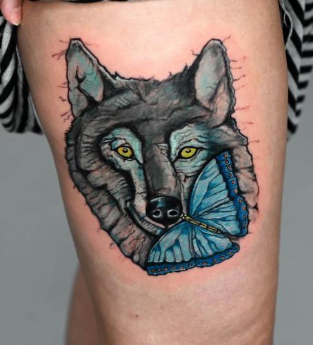 Wolf and butterfly